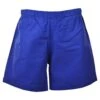 Baggies Blue Shorts