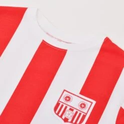 Southampton 12th Man T-Shirt - Red/White Stripe -Outlet Fitted Tops Store t0055 2
